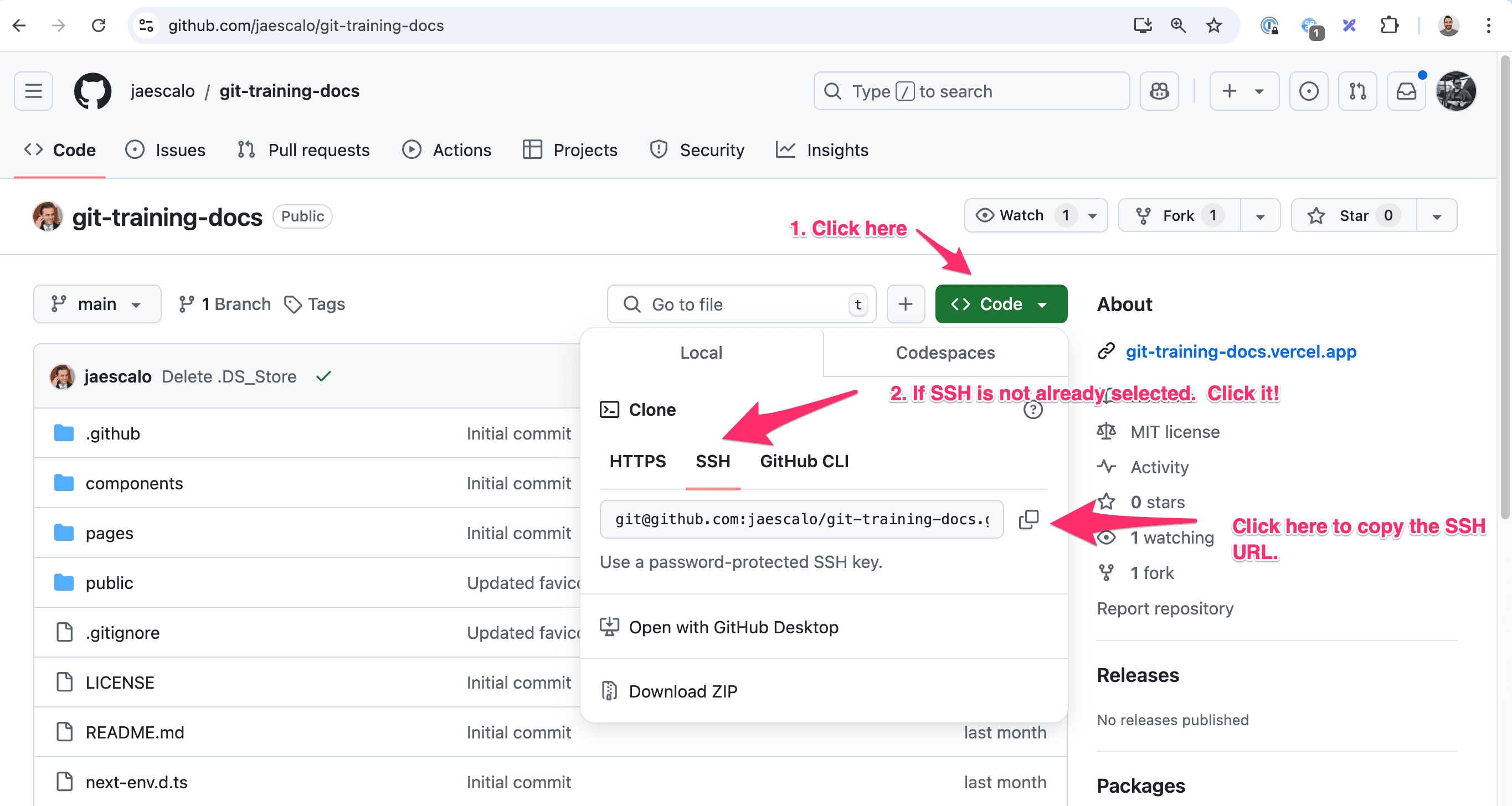 Cloning a Repository